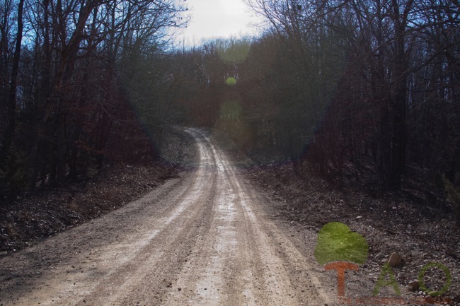 Coon-Hill-Knob-Road