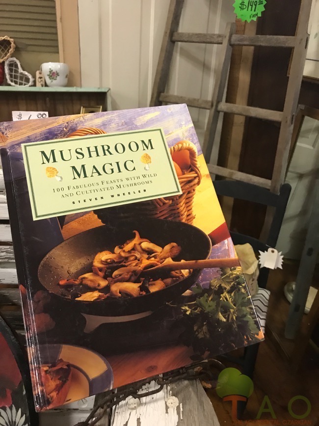 cookbook magic mushroom