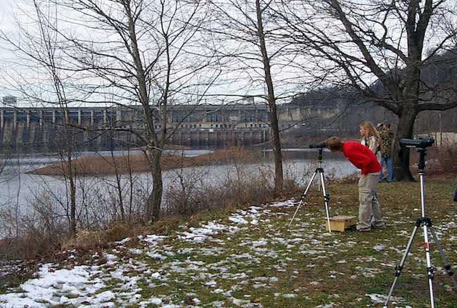 Eagle spotters at Lake  of the Ozarks
