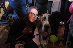 great dane and vet