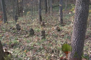 humanoids in cemetery near Newburg, MO