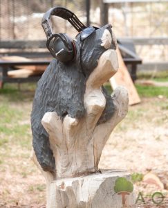 wood carving of beaver with ear and eye protection Dawt Mill