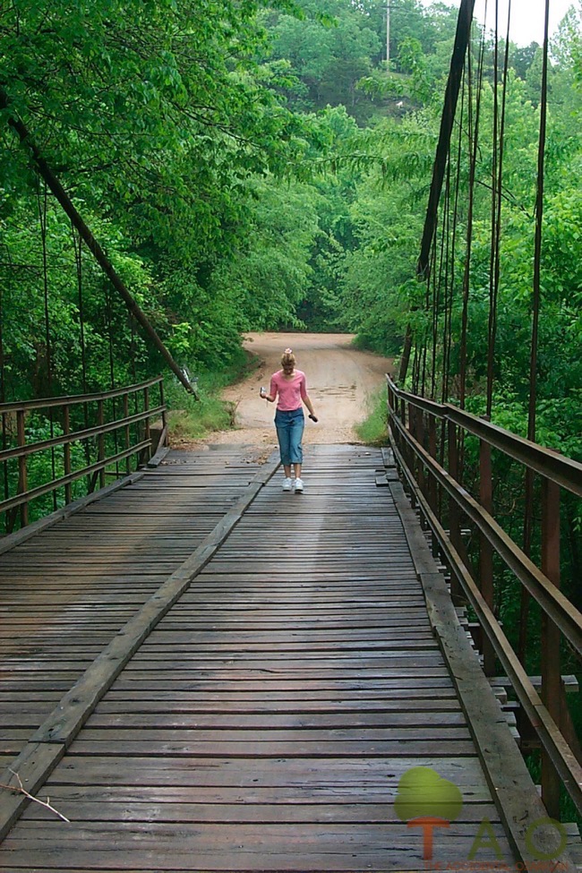 The Swinging Bridges of Miller County