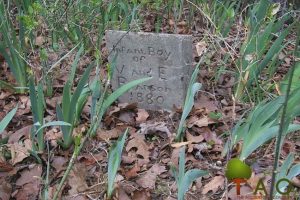 infant boy folk art tombstone