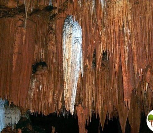 Tobacco room Round Spring Cavern