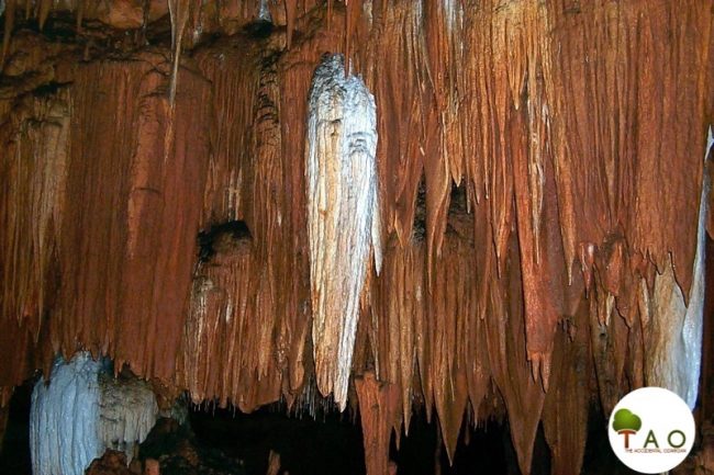 Tobacco room Round Spring Cavern