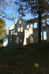 shadows at ha ha tonka