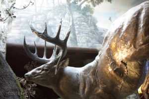 entrance bronze elk WOW