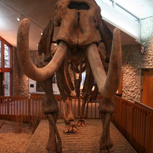 Mastodon State Historic site Mastodon