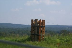 rock holder Ozarks