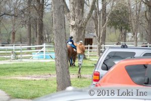 horses therapy AB house