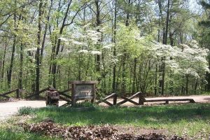 Assumption Abbey in the spring