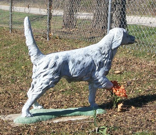 bird dog in Missouri cemetery