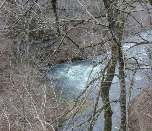 Greer Spring from viewing area