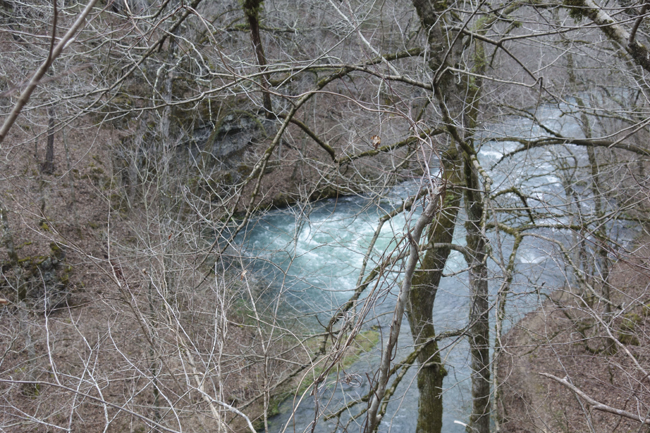 Greer Spring from viewing area