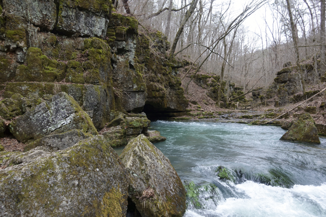 Greer Spring cave 