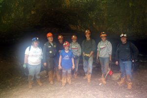 wild caving mushroom cave ozarks