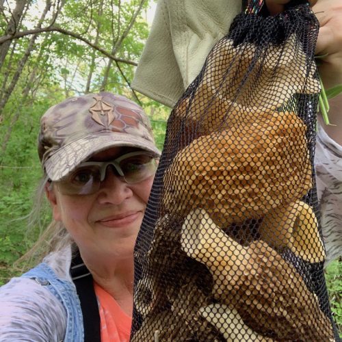 Hunting for Morels