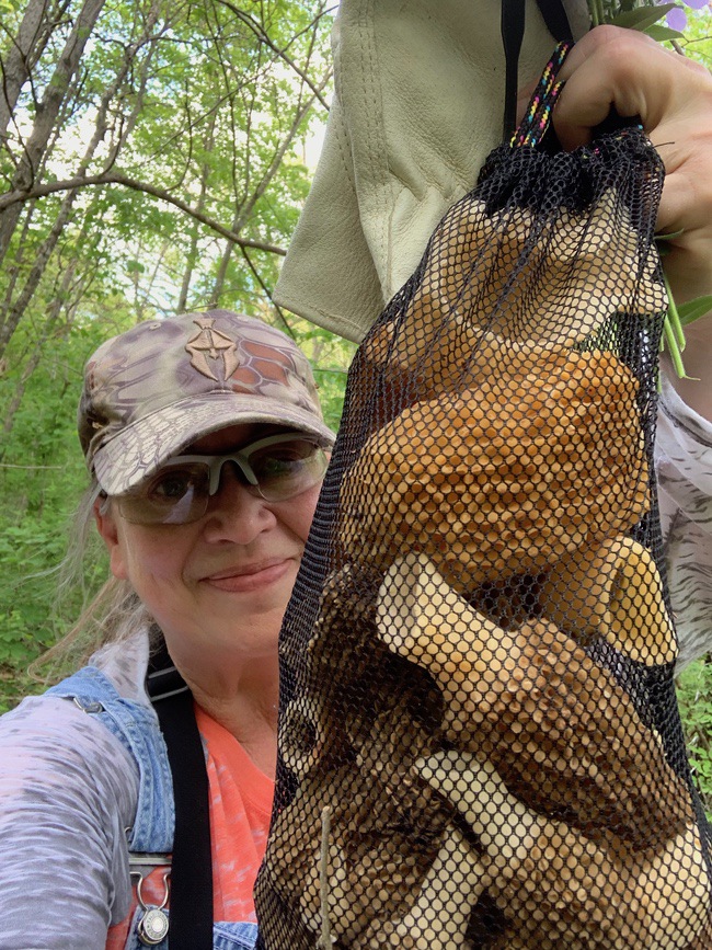 Hunting for Morels