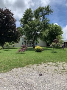 Home Baker Seed mansfield missouri
