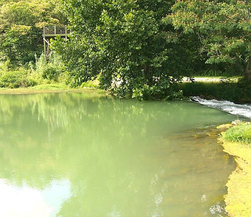 Mammoth Spring Arkansas