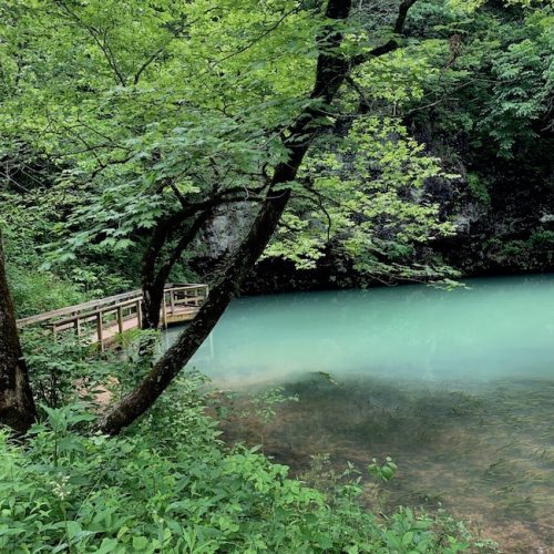 Blue Spring walkway