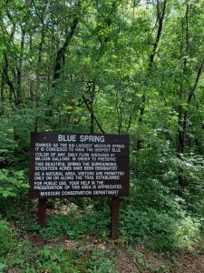 Blue Spring sign