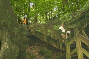 Stairs to Devil's Icebox