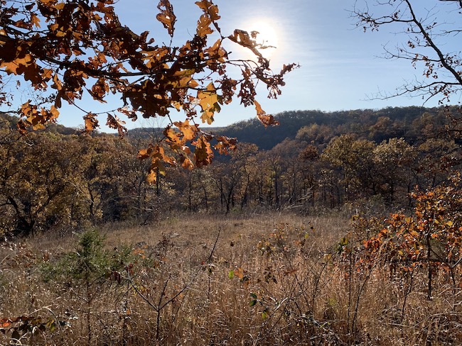 Cedar Gap overlook