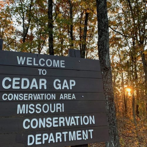 Cedar Gap CA sign