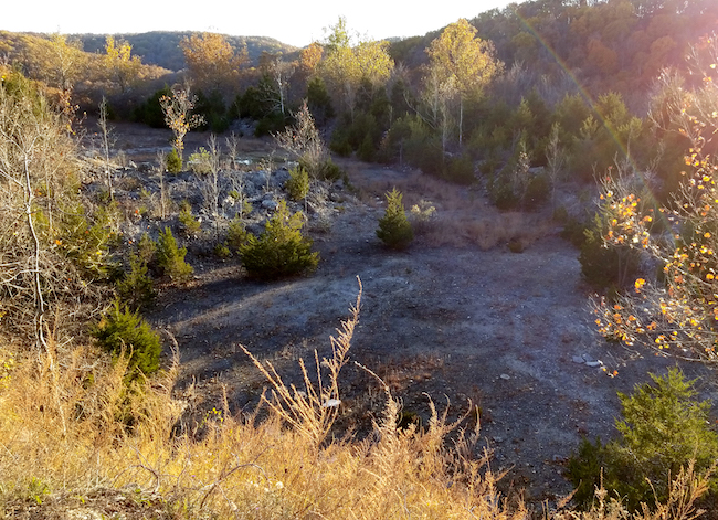 Quarry Baird photo Cedar Gap