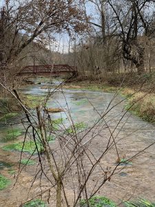 Bryant Creek near Hodgson Mill