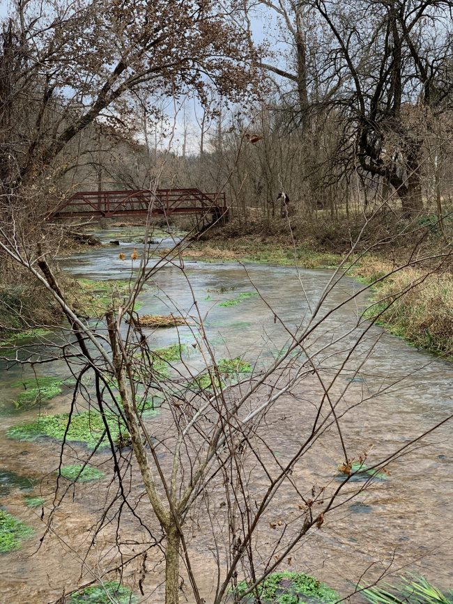 Bryant Creek near mill