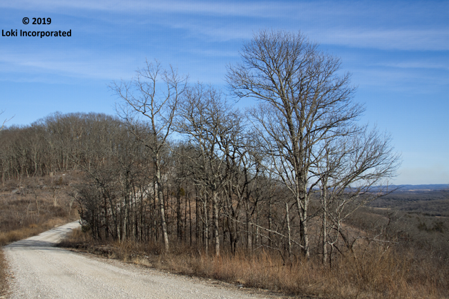 Glade Top Trail in winter