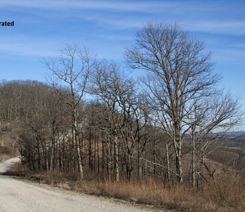 Glade Top Trail Missouri