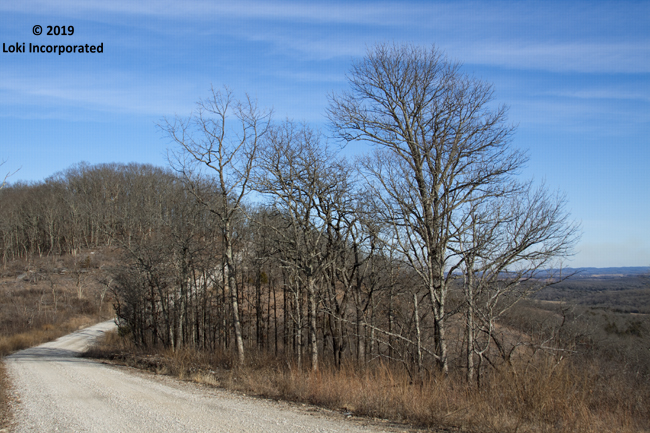 Ozarks Drive: The Glade Top Trail