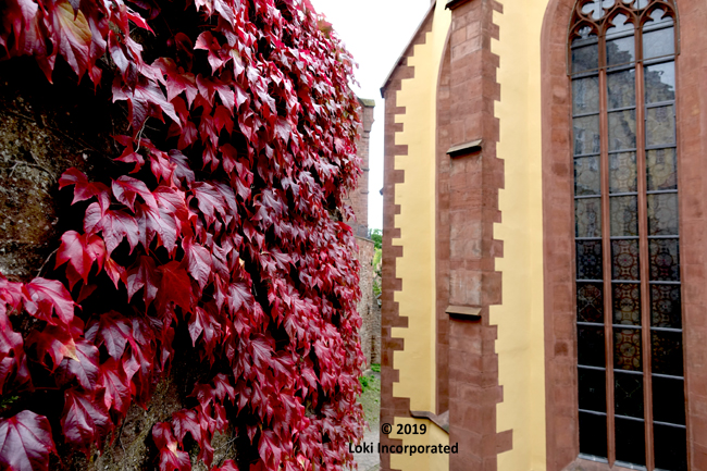 red leaves Wertheim