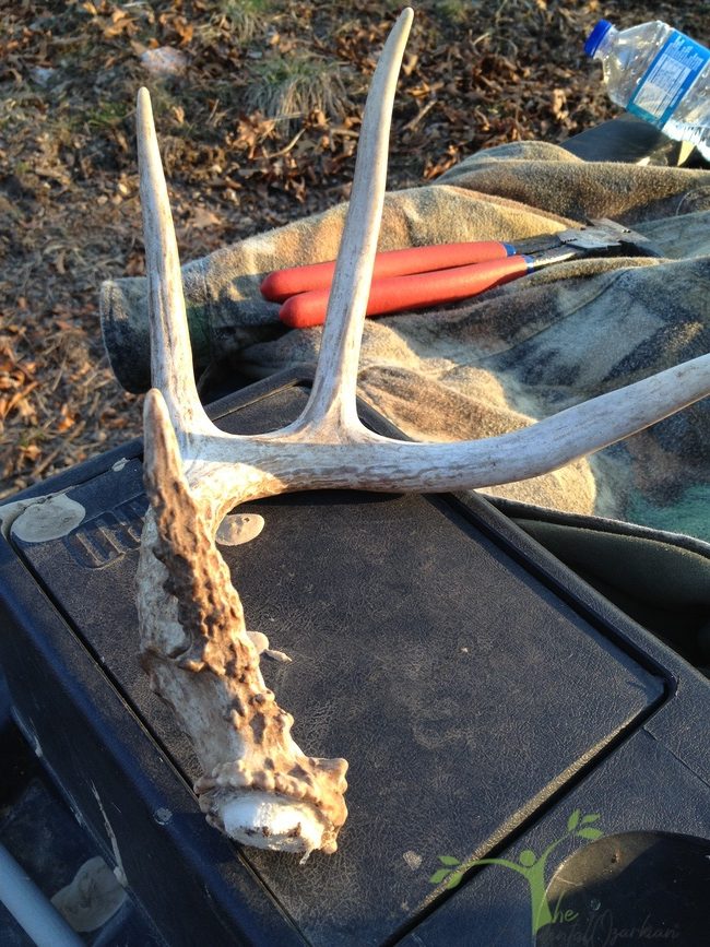 shed on atv ozarks