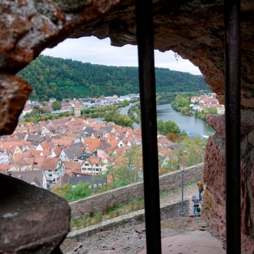 through the window at wertheim