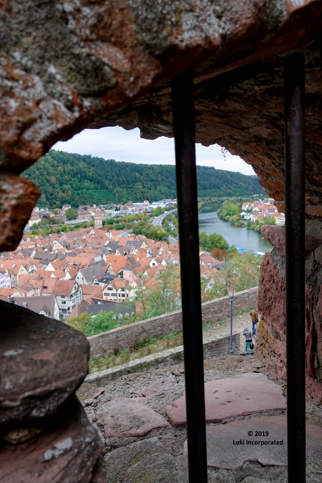 through the window at wertheim