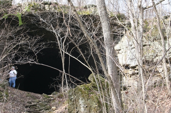 Sheeps Cave Jo Schaper