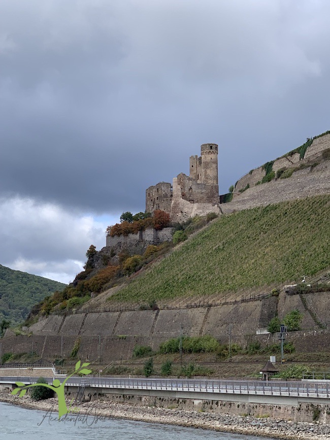 Cruising Rhein Viking River