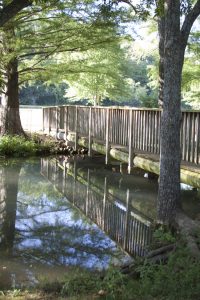 Bridge and reflection Jolly Mill Park