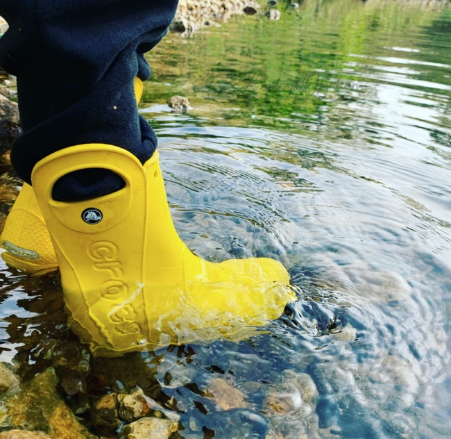 crocs in creek