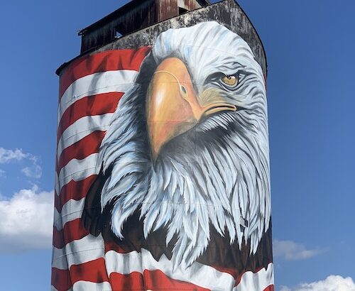 The Freedom Silo feature photo Baird