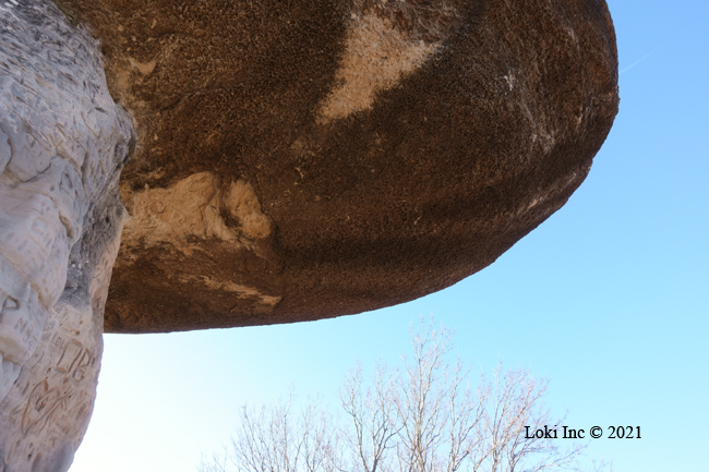 Underside of a mushroom rock