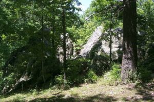 Blossom Rocks at Lane Spring Recreation Area