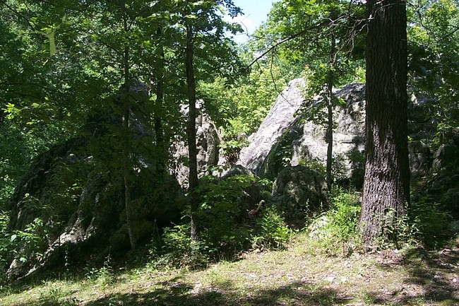 A Hike at Lane Spring Recreation Area