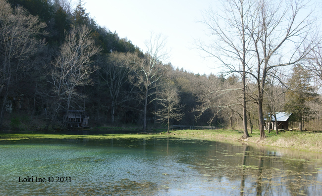 Thomas Brown's house, mill pond and mill at Falling Spring