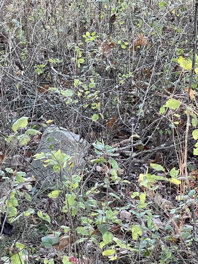 flint marker on Poor Farm